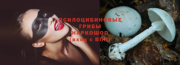 молекула духа Абинск