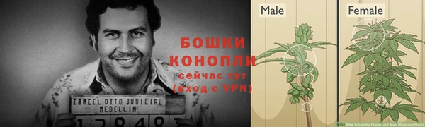 индика Горно-Алтайск