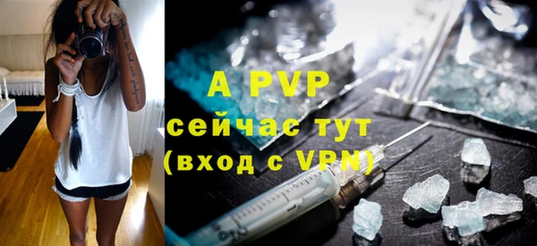 прущие крисы Абаза