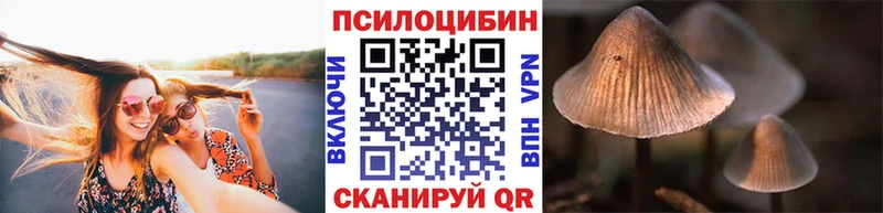 shop телеграм мега Юрюзань Псилоцибиновые грибы GOLDEN TEACHER
